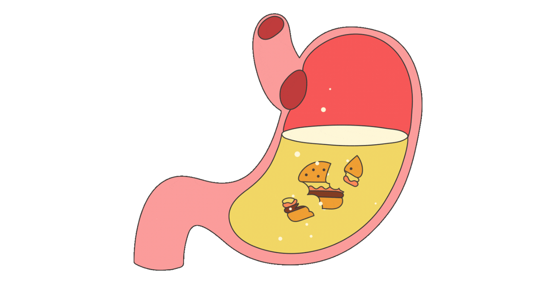 Common Causes of Abdominal Pain in Children and General Management