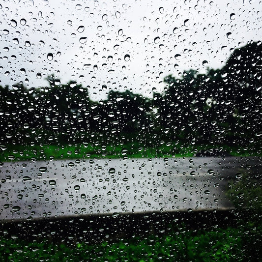 Common Complaints About Rainy Weather and How to Manage Them